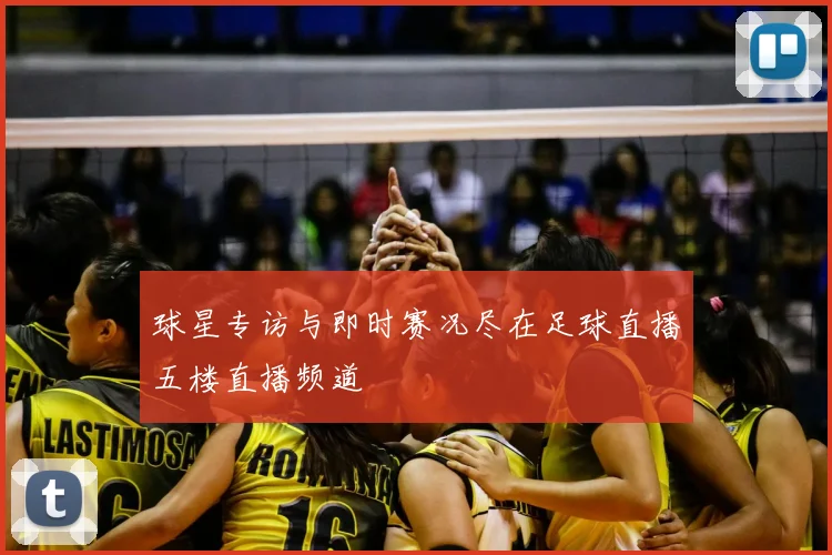 球星专访与即时赛况尽在足球直播五楼直播频道