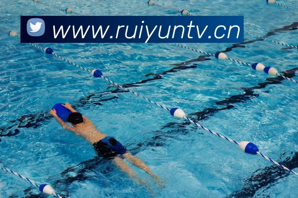 beat365官方网站入口发展历程